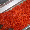 Native Ningxia Wolfberry Dried Goji